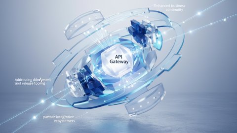 API gateway and partner integration ecosystems tech due diligence: performance budget and profiling worksheet for m&a readiness